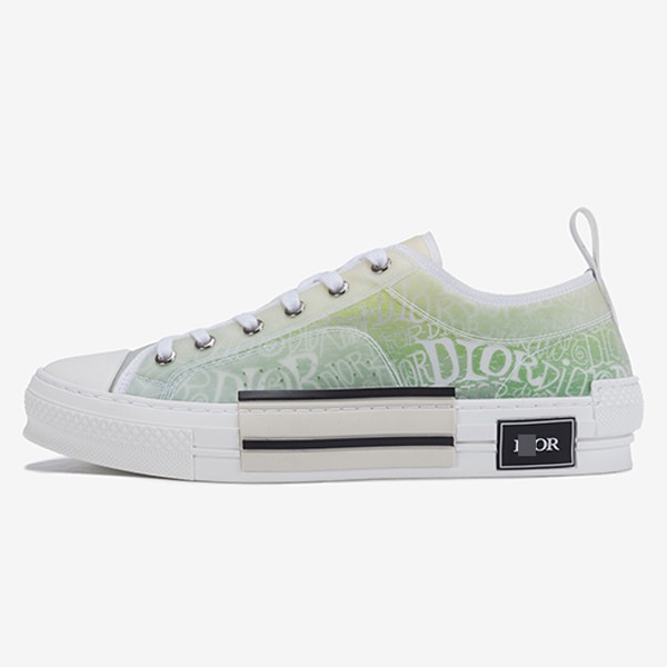 ディオールダニエルアーシャンREONテクニカル“B23”ローニーカーイェローグリーン