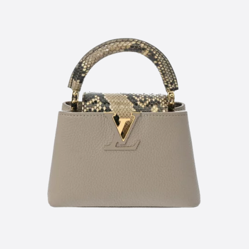 ルイ・ヴィトン カプシーヌ ハンドバッグ M80041