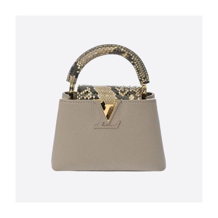 ルイ・ヴィトン カプシーヌ ハンドバッグ M80041