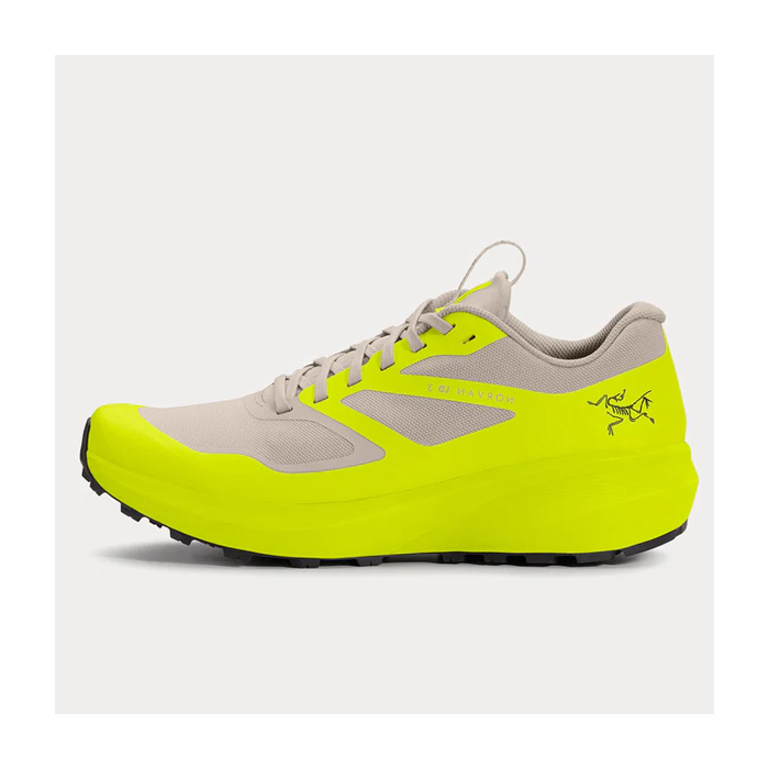 Arcteryx アークテリクス Norvan LD 3 GORE-TEX シンプルで快適な滑り止め衝撃吸収防水ロートップ