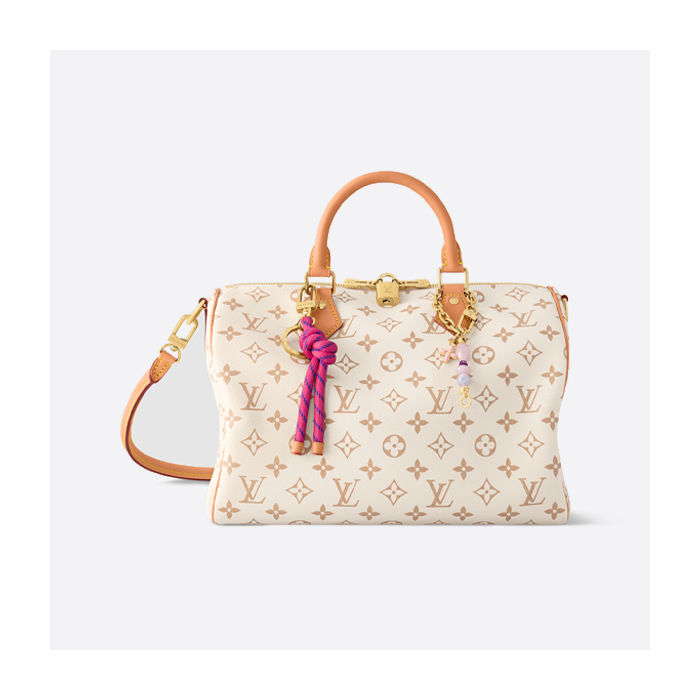 ルイ・ヴィトン ハンドバッグ M15107